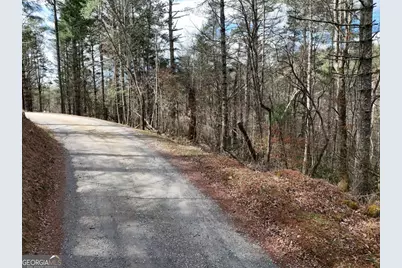 Lot 45B Synacia Drive, Mineral Bluff, GA 30559 - Photo 14