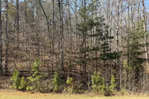 506 Forest Pointe Dr, Forsyth, GA 31029 - Photo 1