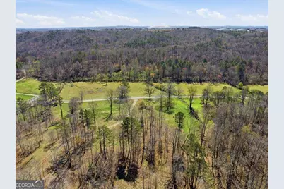 2201 Long Road, Ball Ground, GA 30107 - Photo 8