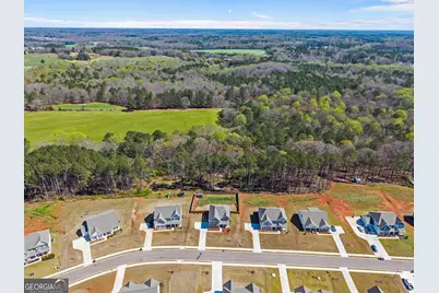 1356 Pine View Trail, Monroe, GA 30656 - Photo 50