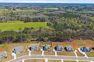 1356 Pne Vw Trl, Monroe, GA 30656 - Photo 50