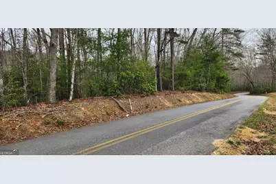 9.95Ac Hicks Gap Road, Blairsville, GA 30512 - Photo 2
