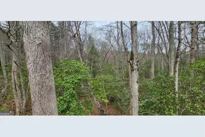 9.95Ac Hicks Gap Road, Blairsville, GA 30512 - Photo 16