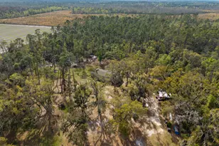 5536 N Hickory Grove Rd, Valdosta, GA 31606 - Photo 38