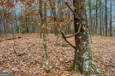 295 Ferrell Tatum Road, Lagrange, GA 30240 - Photo 28