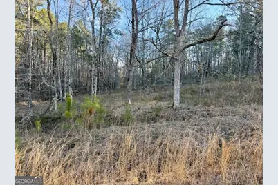 0 River Ridge Trail #396, Sparta, GA 31087 - Photo 2