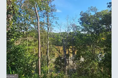 163 High Bluff Road, Baxley, GA 31513 - Photo 34