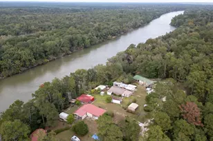 163 High Bluff Rd, Baxley, GA 31513 - Photo 40