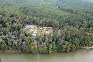 163 High Bluff Rd, Baxley, GA 31513 - Photo 44