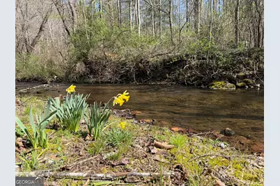 1162 Blacks Creek Drive, Clayton, GA 30525 - Photo 34