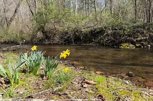 1162 Blacks Creek Dr, Clayton, GA 30525 - Photo 34