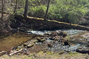 1162 Blacks Creek Dr, Clayton, GA 30525 - Photo 38