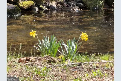 1162 Blacks Creek Drive, Clayton, GA 30525 - Photo 2