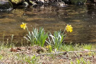 1162 Blacks Creek Dr, Clayton, GA 30525 - Photo 2