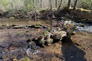 1162 Blacks Creek Dr, Clayton, GA 30525 - Photo 6