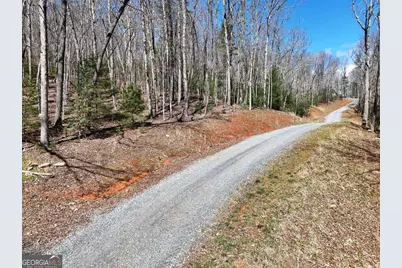 Lot 15 Native Trail, Blue Ridge, GA 30513 - Photo 4