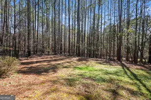 1101 Spring Valley Way, Bishop, GA 30621 - Photo 40