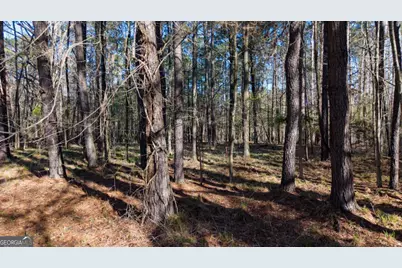 1760 Snug Harbor Drive, Greensboro, GA 30642 - Photo 6