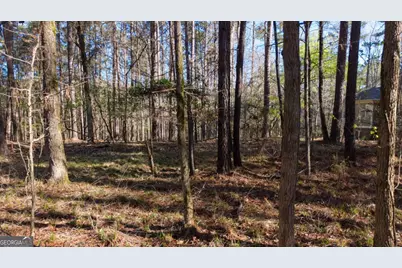1760 Snug Harbor Drive, Greensboro, GA 30642 - Photo 8