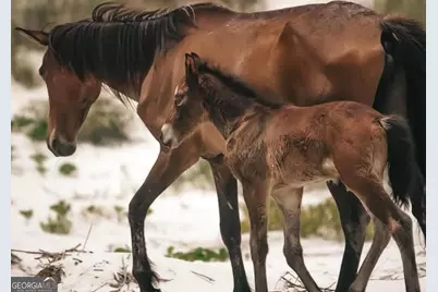 601 Storey Avenue, Saint Marys, GA 31558 - Photo 6