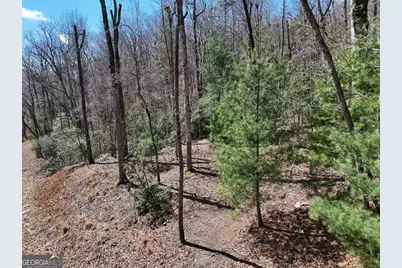 Lot 9 Native Trail, Blue Ridge, GA 30513 - Photo 1