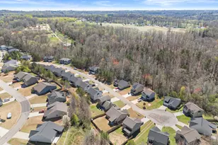 776 Dawn Pl, Alto, GA 30510 - Photo 44