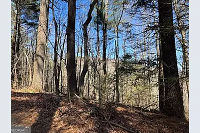 Lot 14 Butler Creek Road, Cherrylog, GA 30552 - Photo 4