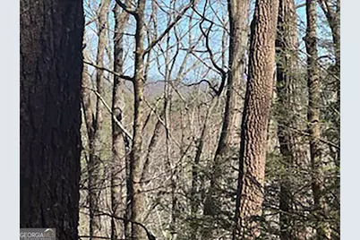 Lot 14 Butler Creek Road, Cherrylog, GA 30552 - Photo 2