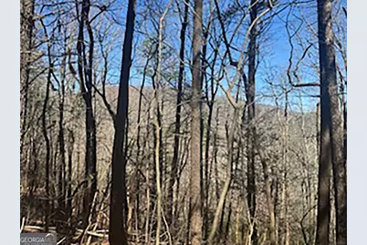 Lot 14 Butler Creek Road, Cherrylog, GA 30552 - Photo 1