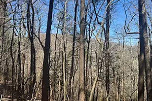 Lot 14 Butler Creek Rd, Cherrylog, GA 30552 - Photo 1