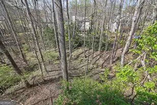 375 White Rose Trce, Alpharetta, GA 30005 - Photo 46