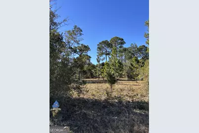 128 Dufour Road, Saint Marys, GA 31525 - Photo 2