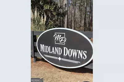 6833 Omaha Drive, Midland, GA 31820 - Photo 40