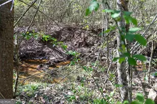 1918 Enchanted Woods Trail, Marietta, GA 30066 - Photo 48