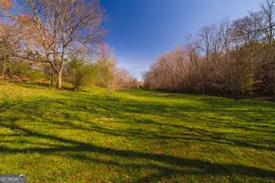 723 Sulphur Springs Rd, Fairmount, GA 30139 - Photo 42