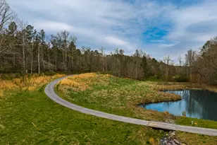 723 Sulphur Springs Rd, Fairmount, GA 30139 - Photo 48