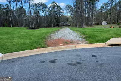 63 Whites Pond Road, Moreland, GA 30259 - Photo 46