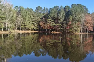 461 McDonough Rd, Hampton, GA 30228 - Photo 1