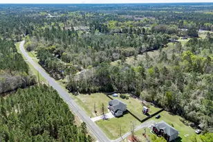 353 Palmer Road NE, Ludowici, GA 31316 - Photo 46