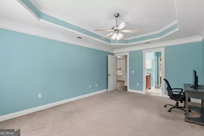 353 Palmer Road NE, Ludowici, GA 31316 - Photo 34