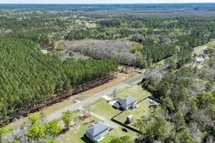 353 Palmer Road NE, Ludowici, GA 31316 - Photo 48