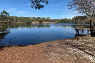 1230 Rolling Acres Rd, Metter, GA 30439 - Photo 34