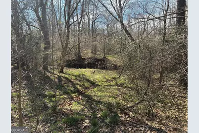 802 Lane Road, Monticello, GA 31064 - Photo 10