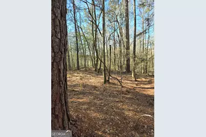 1381 Trestle Road, Locust Grove, GA 30248 - Photo 4