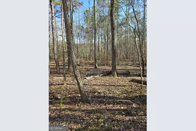 1381 Trestle Road, Locust Grove, GA 30248 - Photo 2