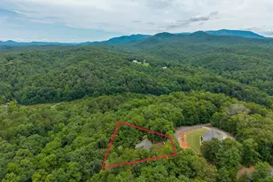 63 Granny Smith Ln, Ellijay, GA 30536 - Photo 84