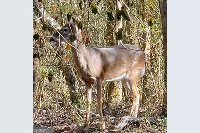 36 Fairway Lane, Peachtree City, GA 30269 - Photo 42