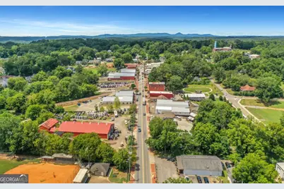139 Marble Tree Way, Ball Ground, GA 30107 - Photo 62