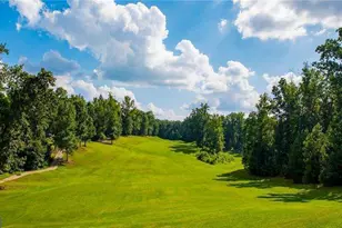 39 Sweet Rose Ct, Newnan, GA 30265 - Photo 20