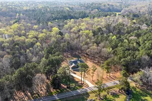 723 Sid Hunter Rd, Senoia, GA 30276 - Photo 44